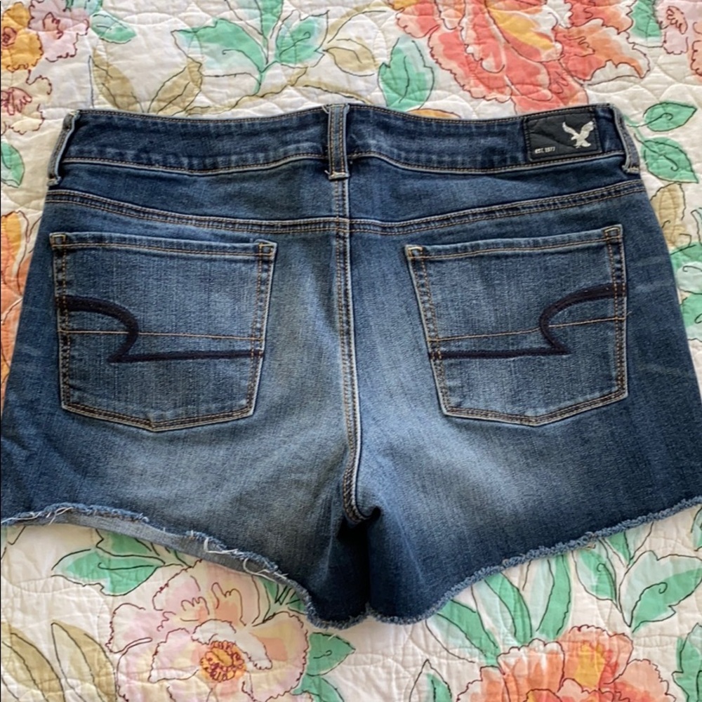 American Eagle Shorts (Shortie)